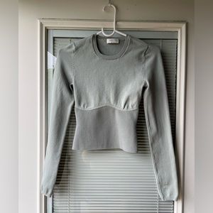 Aritzia Babaton Sculpt Knit Empire Long Sleeve in Light Green